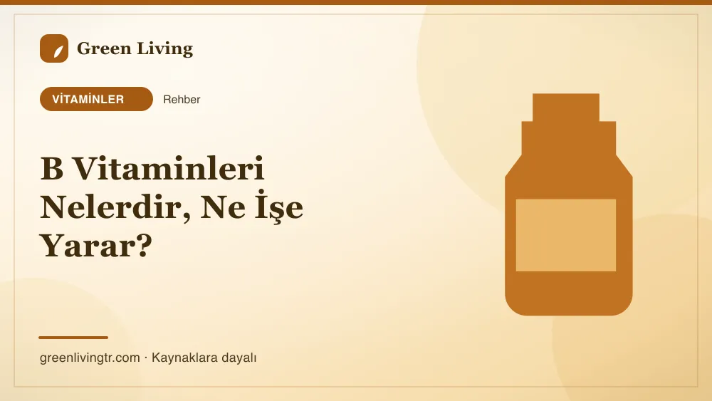 B Vitaminleri Nelerdir, Ne İşe Yarar? — Green Living