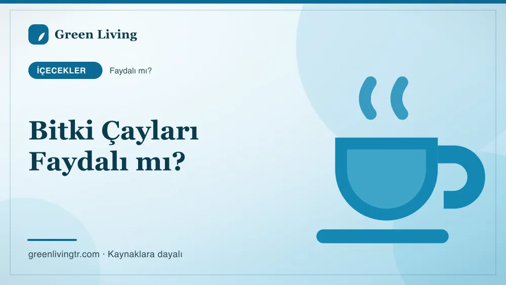 Bitki Çayları Faydalı mı? — Green Living