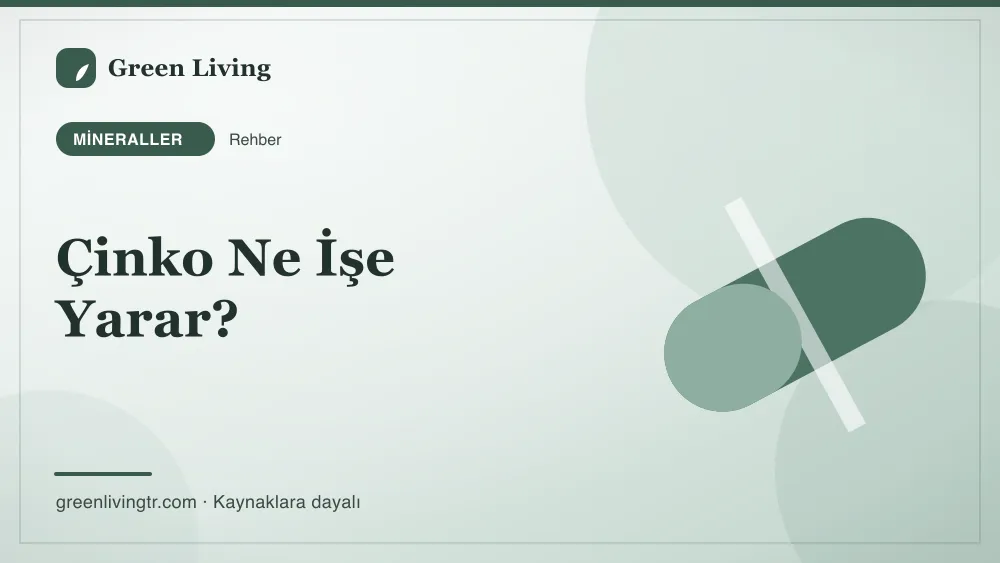 Çinko Ne İşe Yarar? — Green Living