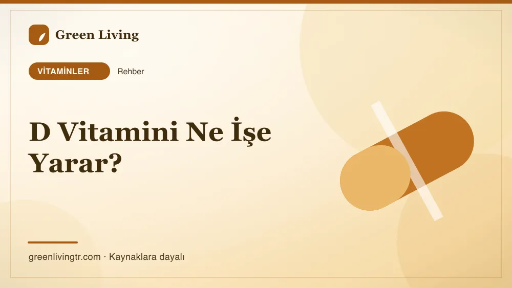 D Vitamini Ne İşe Yarar? — Green Living