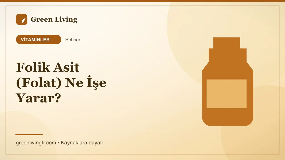 Folik Asit (Folat) Ne İşe Yarar? — Green Living