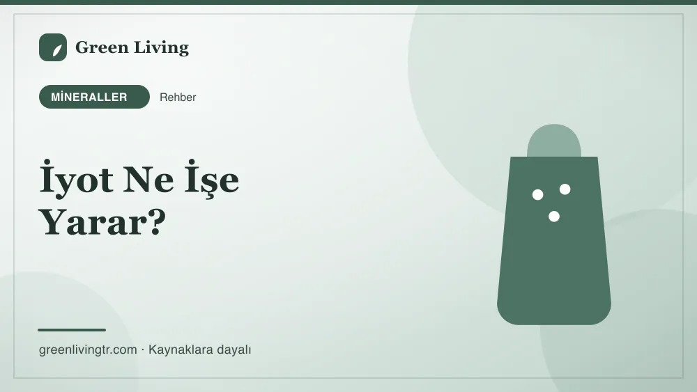 İyot Ne İşe Yarar? — Green Living