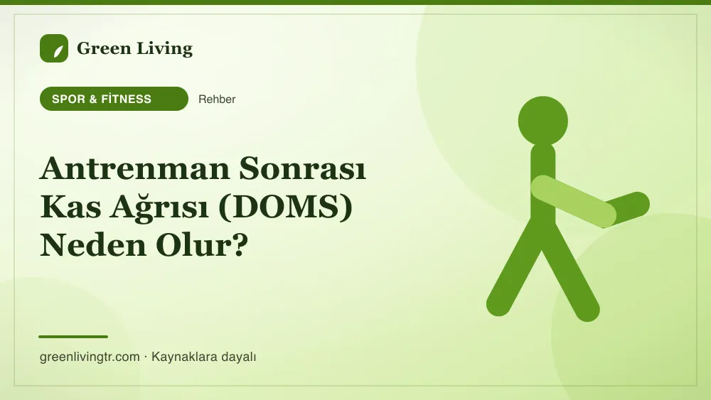 Antrenman Sonrası Kas Ağrısı (DOMS) Neden Olur? — Green Living