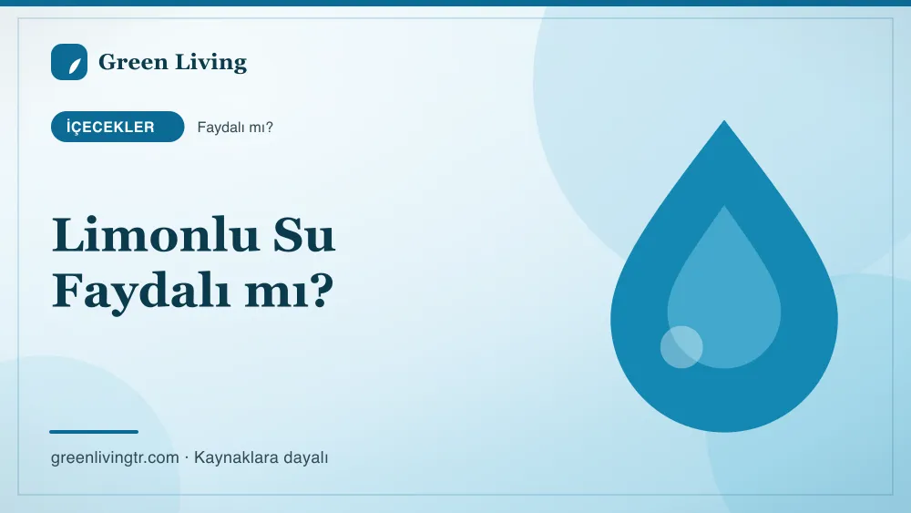 Limonlu Su Faydalı mı? — Green Living