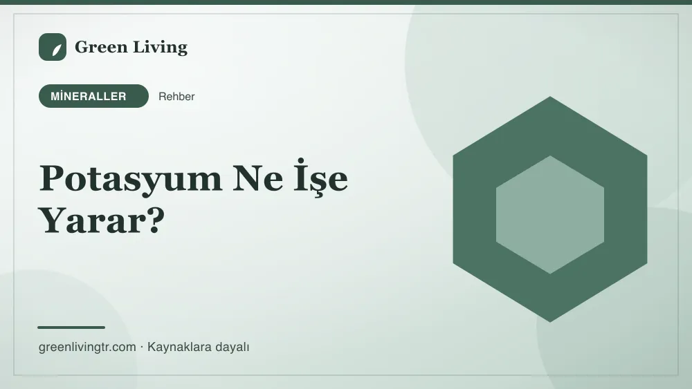 Potasyum Ne İşe Yarar? — Green Living
