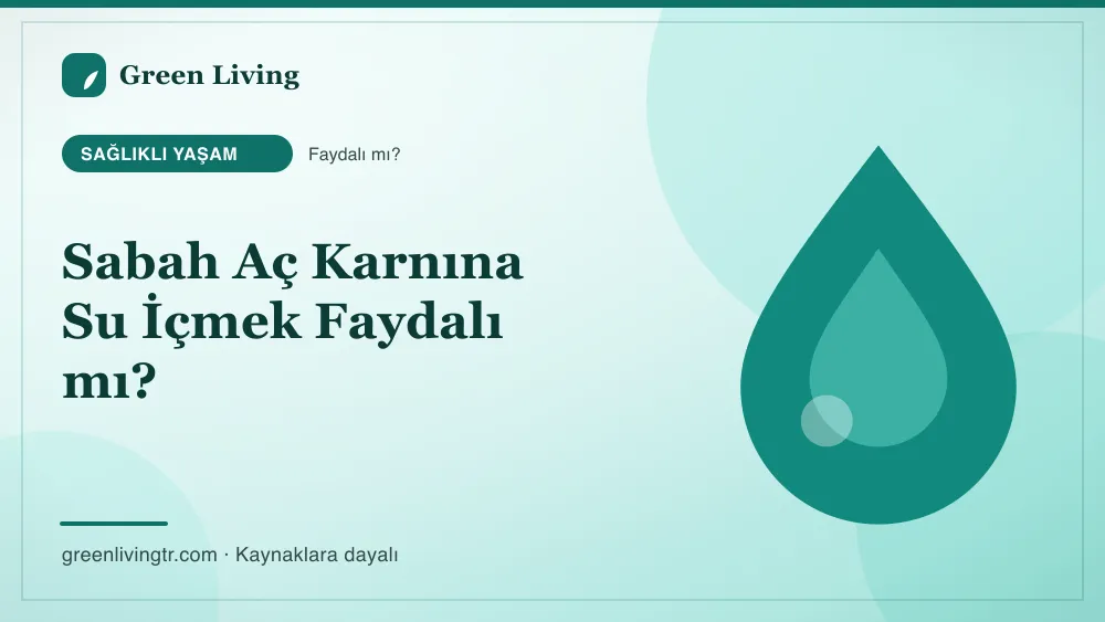 Sabah Aç Karnına Su İçmek Faydalı mı? — Green Living