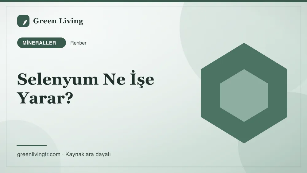 Selenyum Ne İşe Yarar? — Green Living