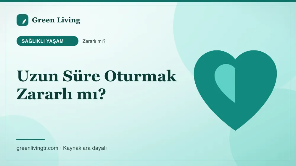 Uzun Süre Oturmak Zararlı mı? — Green Living