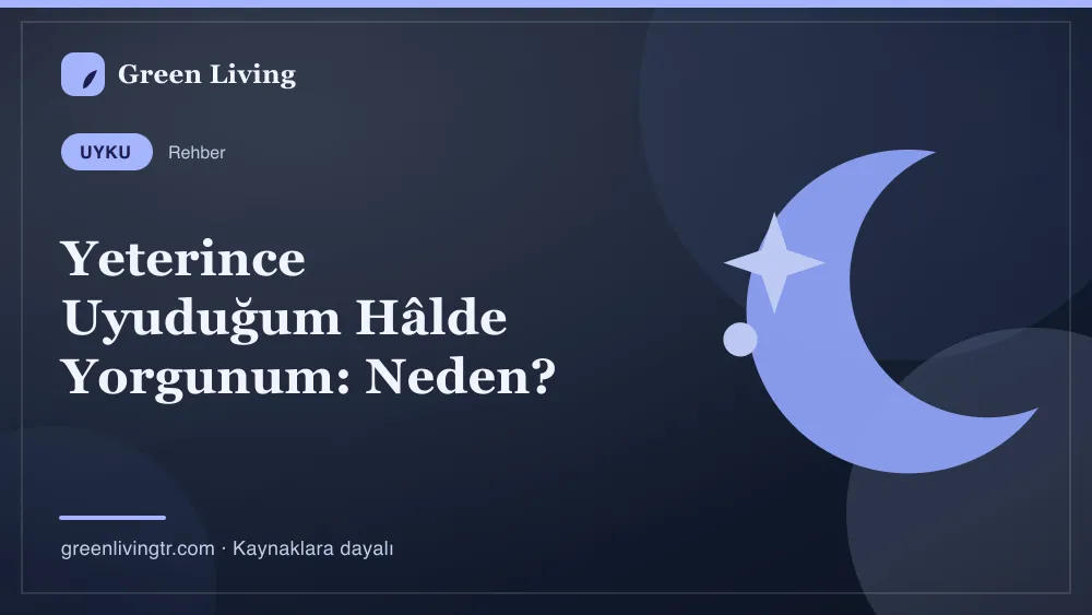 Yeterince Uyuduğum Hâlde Yorgunum: Neden? — Green Living