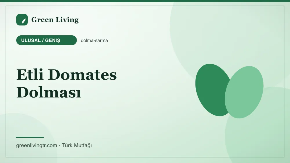Etli Domates Dolması — Ulusal / Geniş mutfağı