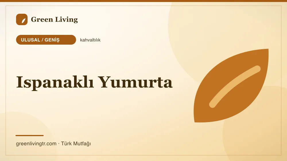 Ispanaklı Yumurta — Ulusal / Geniş mutfağı