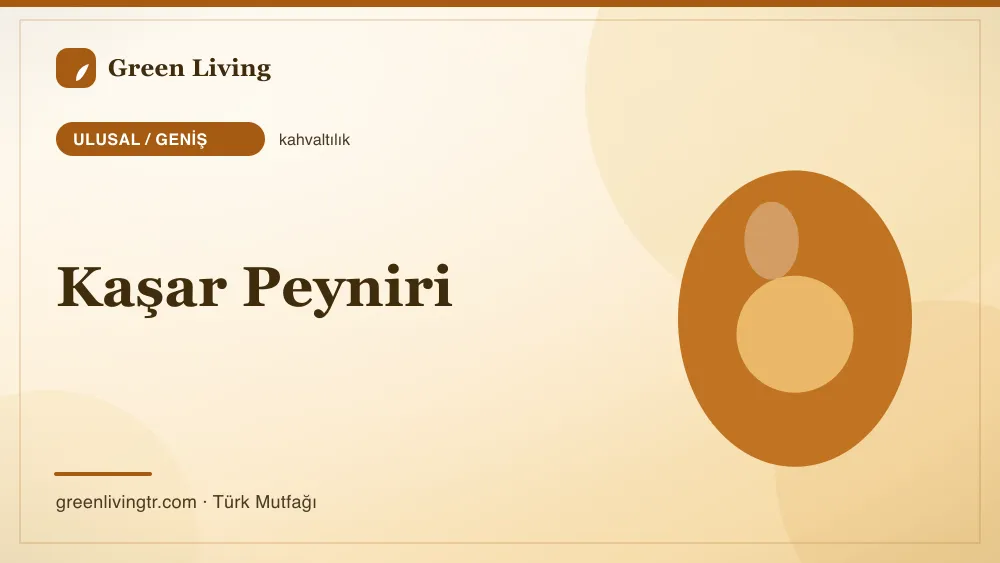Kaşar Peyniri — Ulusal / Geniş mutfağı