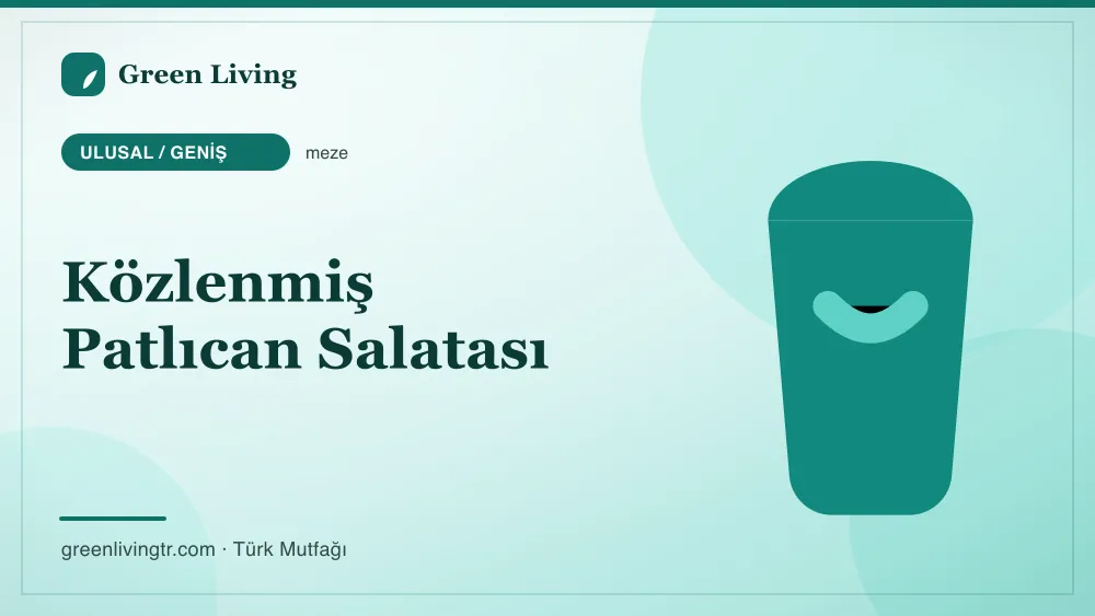 Közlenmiş Patlıcan Salatası — Ulusal / Geniş mutfağı