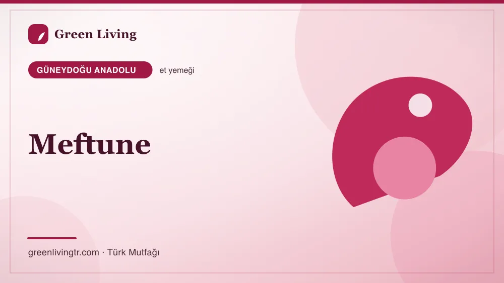 Meftune — Güneydoğu Anadolu mutfağı