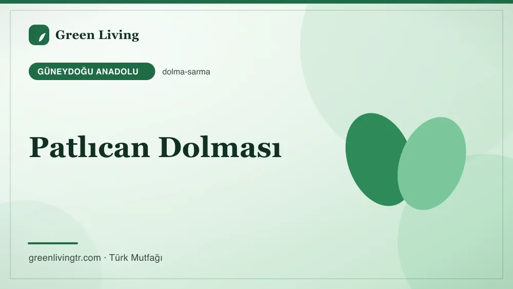 Patlıcan Dolması — Güneydoğu Anadolu mutfağı