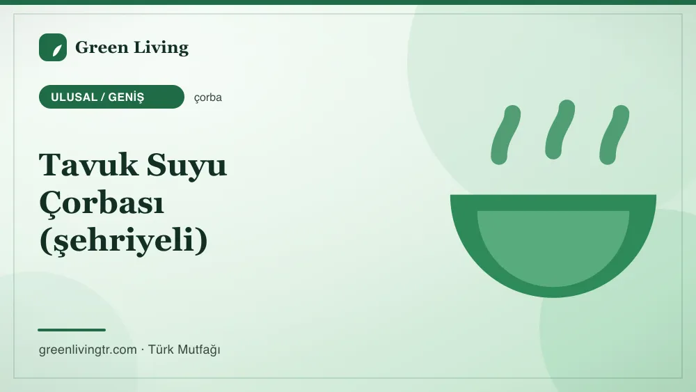 Tavuk Suyu Çorbası (şehriyeli) — Ulusal / Geniş mutfağı
