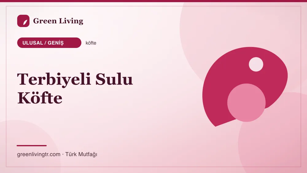 Terbiyeli Sulu Köfte — Ulusal / Geniş mutfağı
