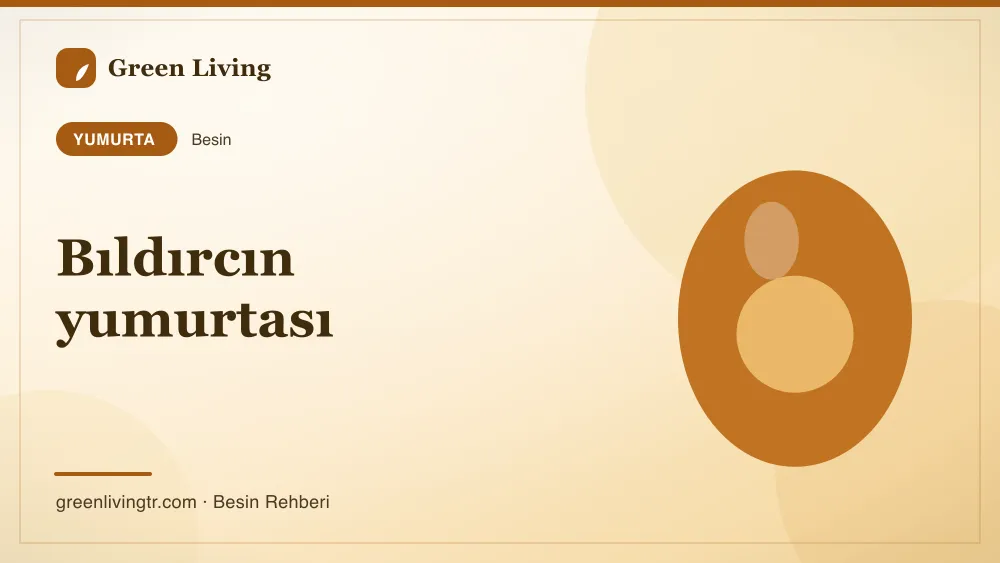 Bıldırcın yumurtası — yumurta