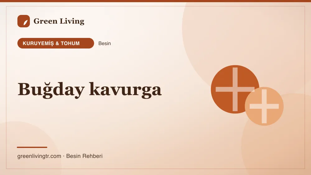 Buğday kavurga — kuruyemiş & tohum