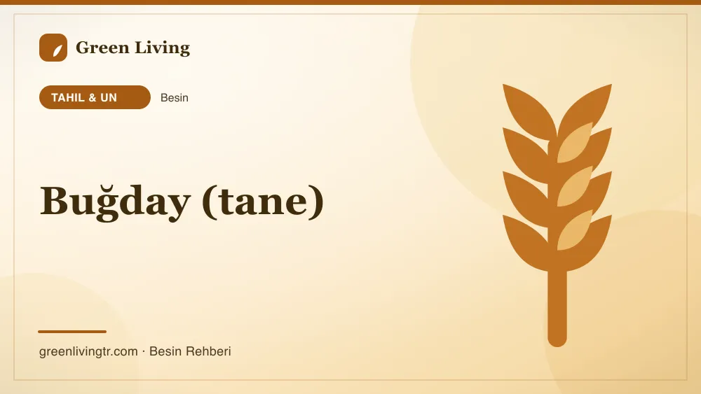 Buğday (tane) — tahıl & un