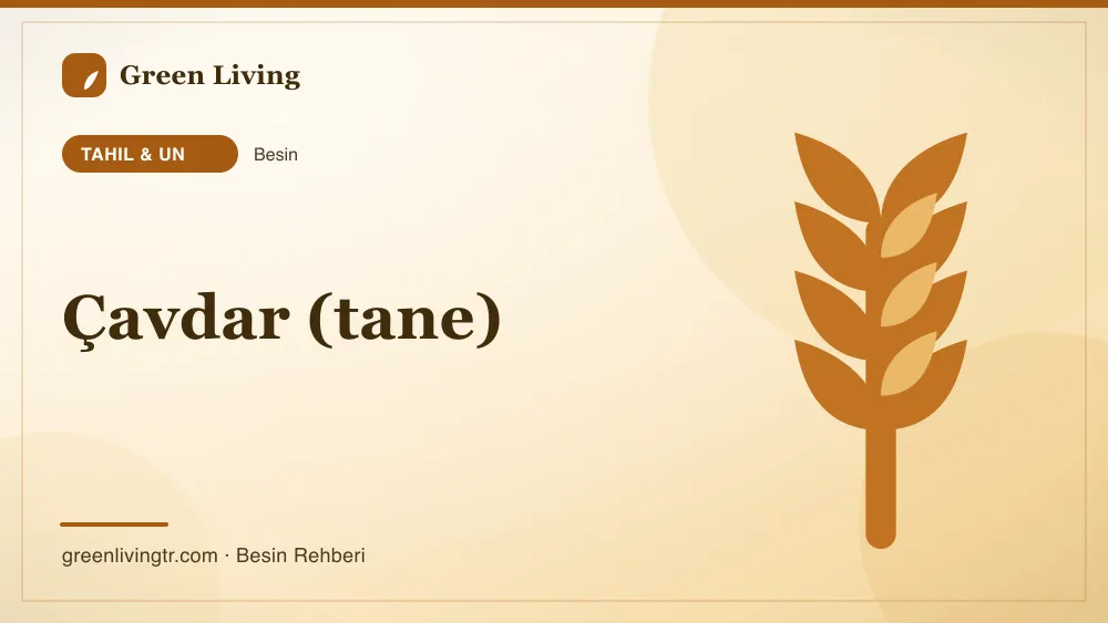 Çavdar (tane) — tahıl & un