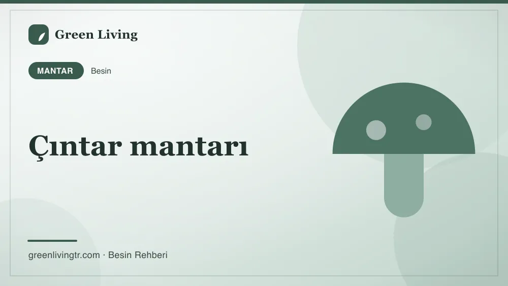 Çıntar mantarı — mantar