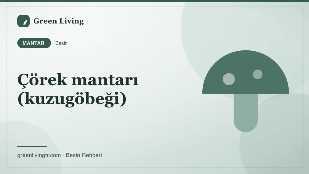 Çörek mantarı (kuzugöbeği) — mantar