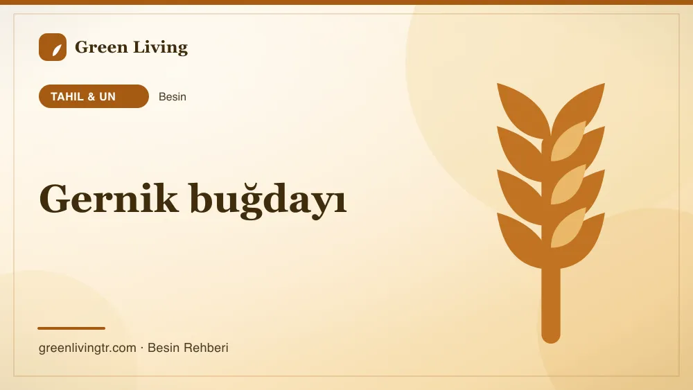 Gernik buğdayı — tahıl & un