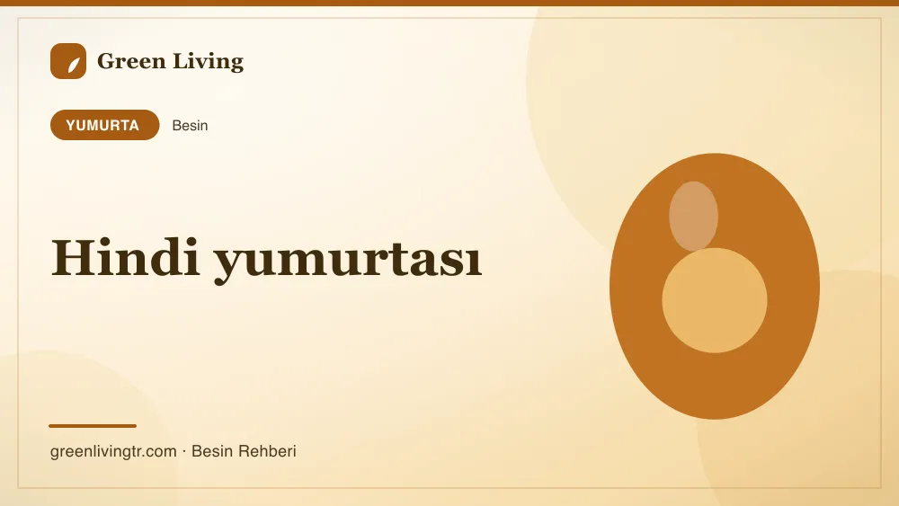 Hindi yumurtası — yumurta