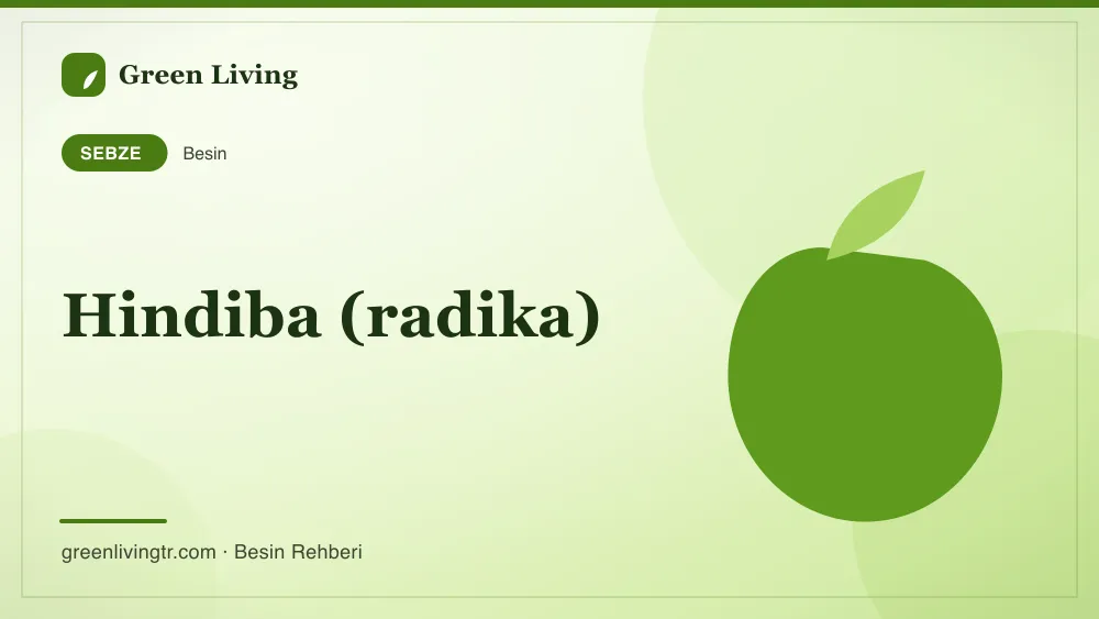 Hindiba (radika) — sebze