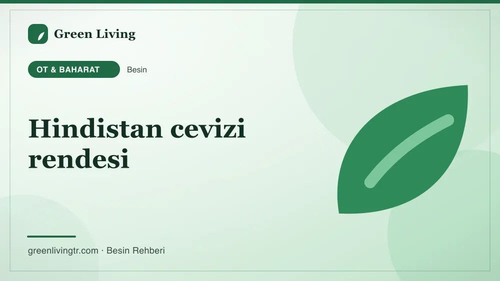 Hindistan cevizi rendesi — ot & baharat