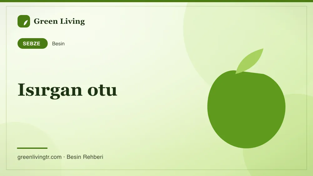 Isırgan otu — sebze