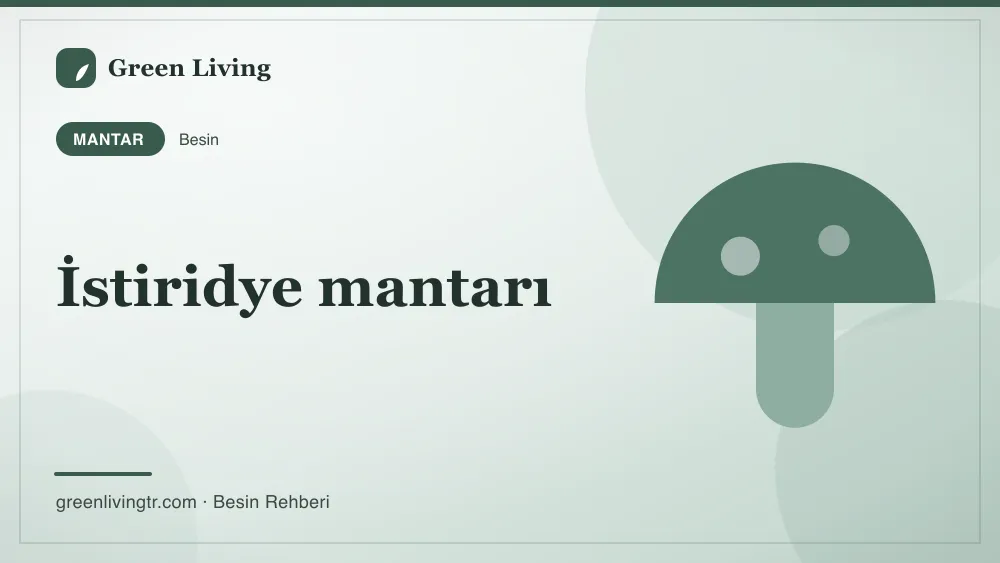 İstiridye mantarı — mantar