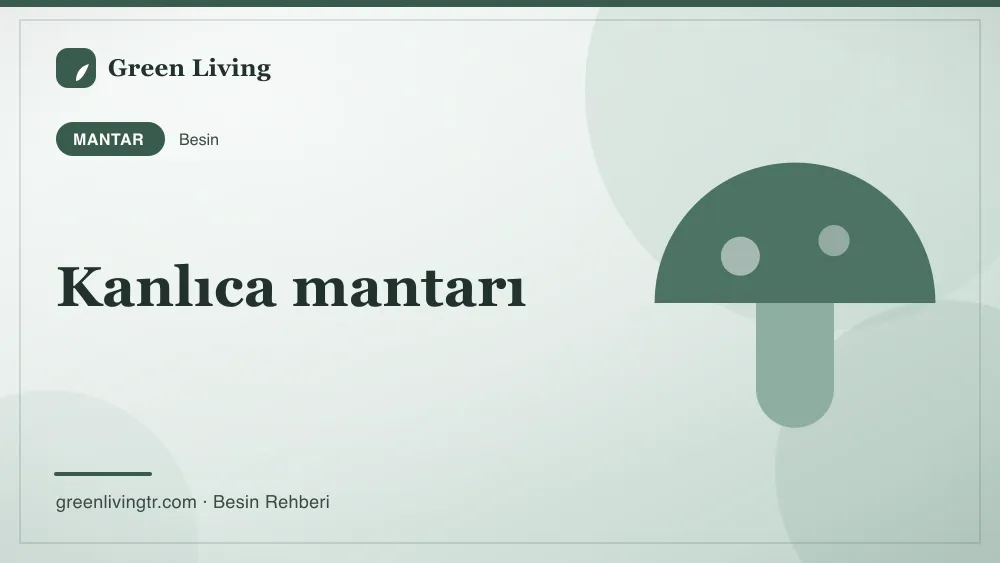 Kanlıca mantarı — mantar