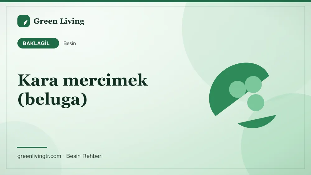 Kara mercimek (beluga) — baklagil