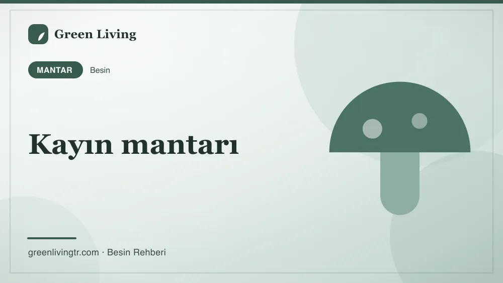 Kayın mantarı — mantar