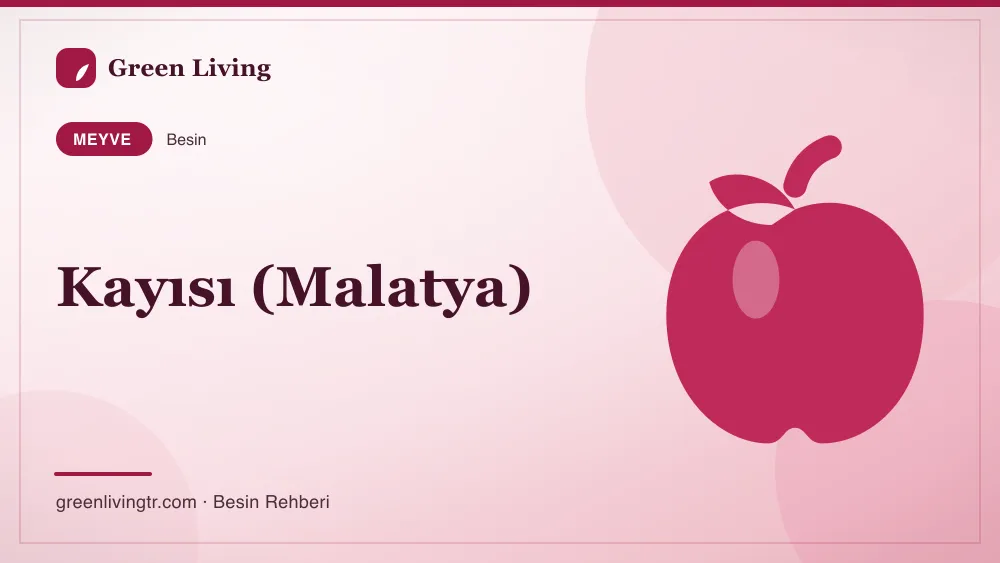 Kayısı (Malatya) — meyve