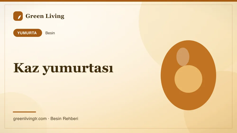 Kaz yumurtası — yumurta
