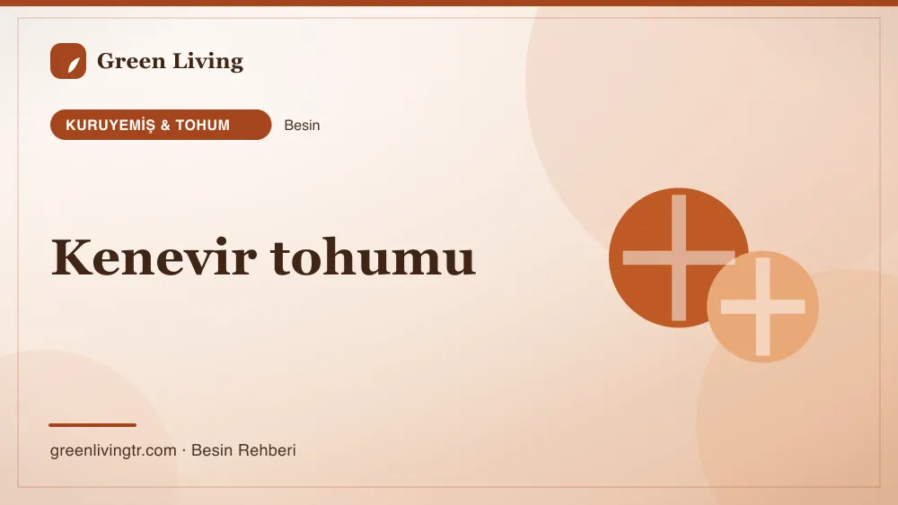 Kenevir tohumu — kuruyemiş & tohum