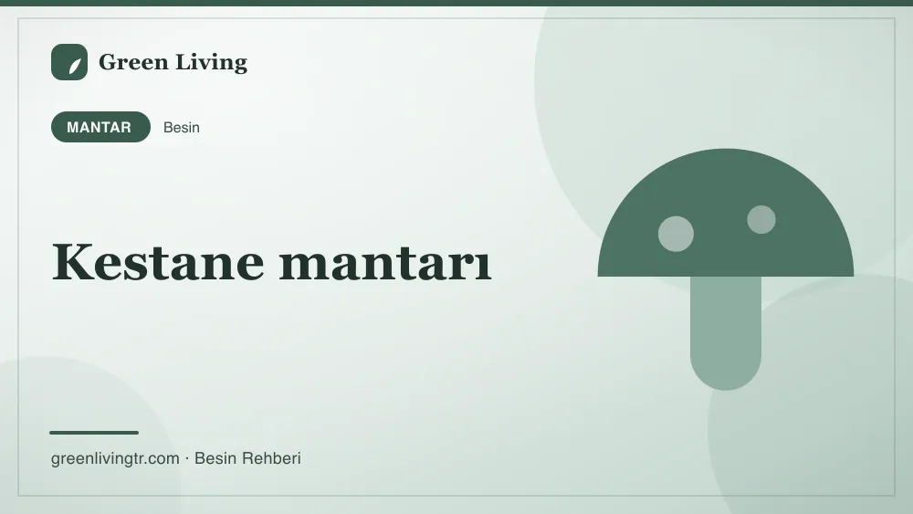 Kestane mantarı — mantar