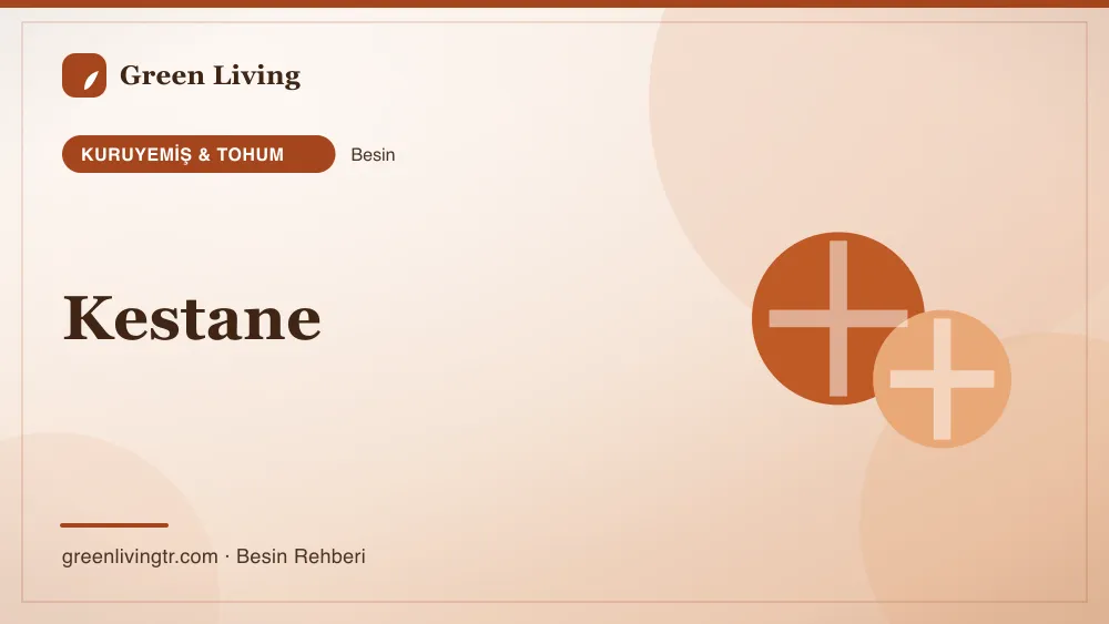 Kestane — kuruyemiş & tohum