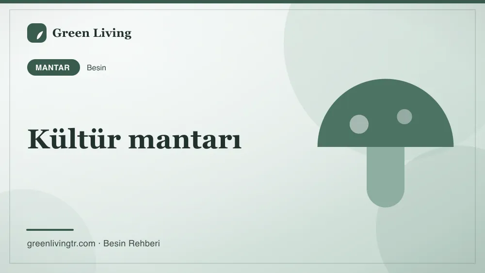 Kültür mantarı — mantar
