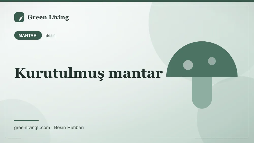 Kurutulmuş mantar — mantar