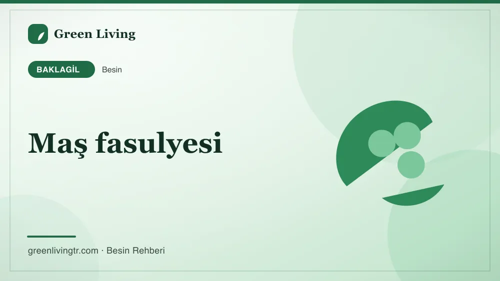 Maş fasulyesi — baklagil