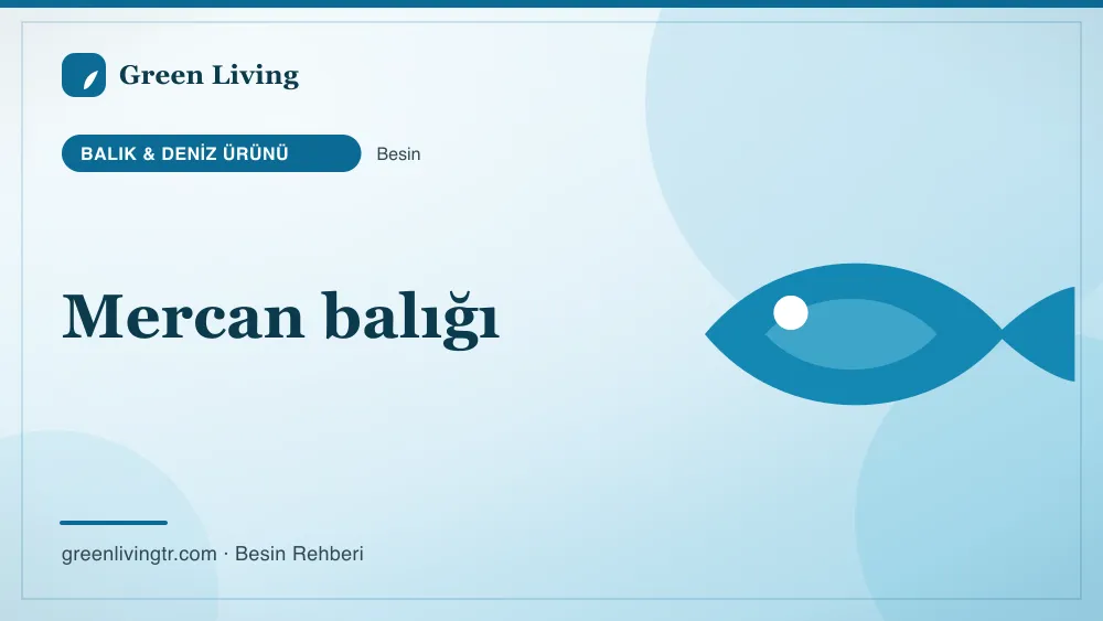 Mercan balığı — balık & deniz ürünü