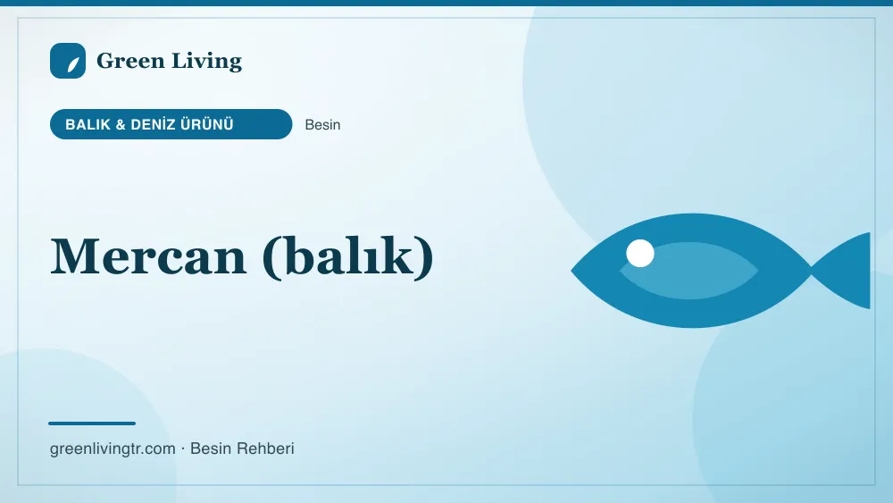 Mercan (balık) — balık & deniz ürünü