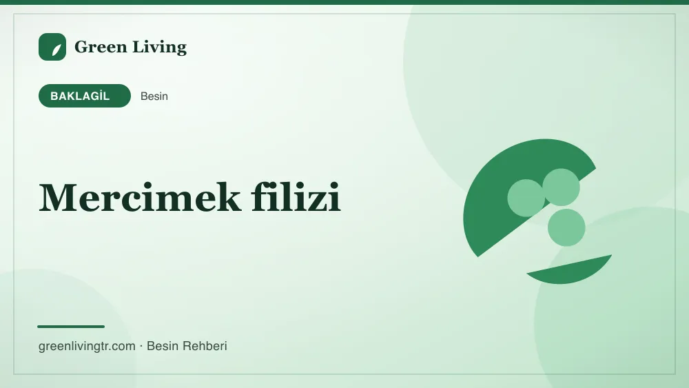 Mercimek filizi — baklagil