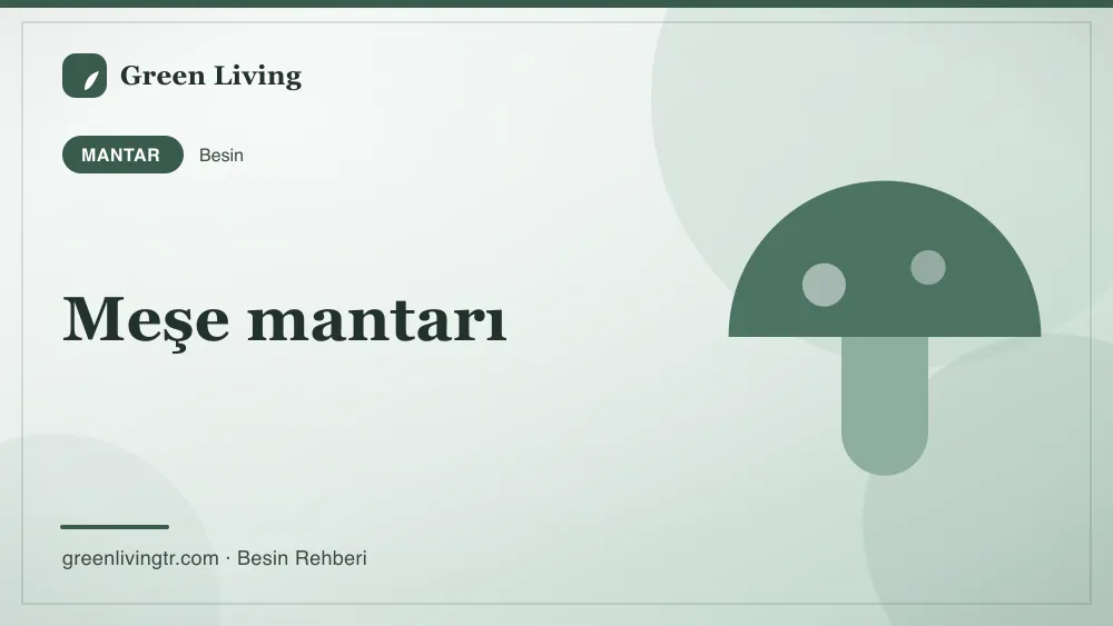Meşe mantarı — mantar