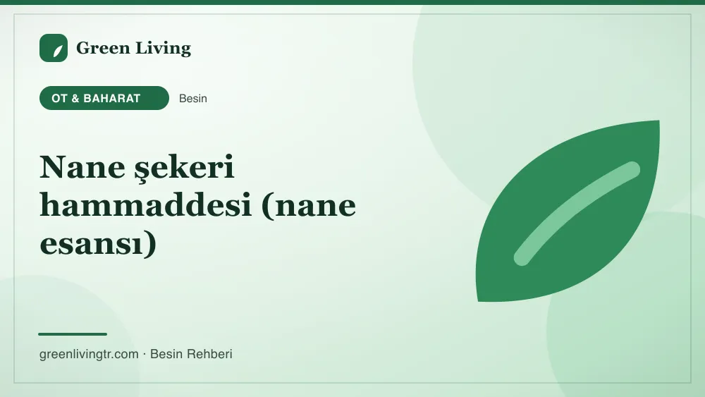 Nane şekeri hammaddesi (nane esansı) — ot & baharat