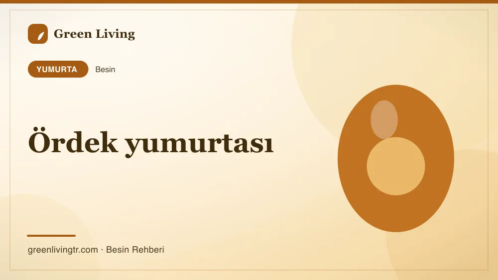 Ördek yumurtası — yumurta